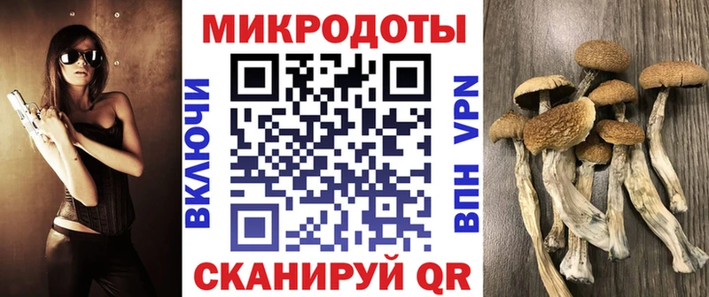 кракен ССЫЛКА  Радужный  Псилоцибиновые грибы Psilocybine cubensis 